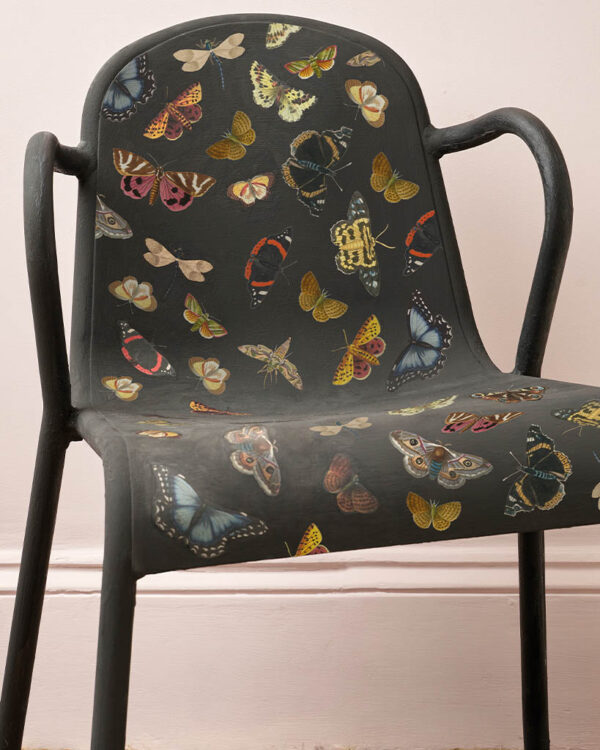 Beispiel Winged Wildlife Decoupage Papier angebracht an einem Stuhl Zoom